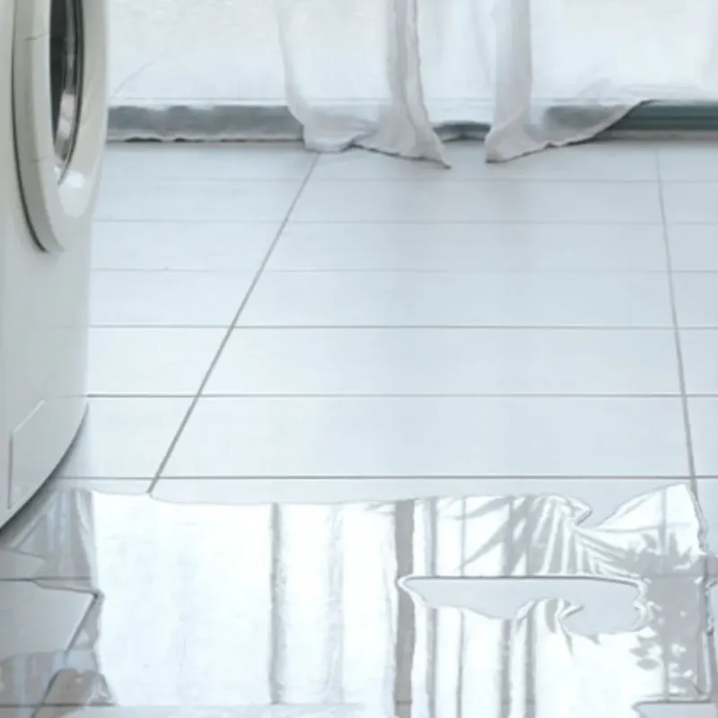 Appliance Leak Cleanup in Mount Hermon, VA