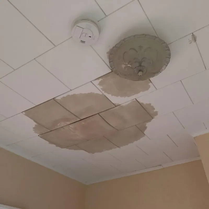Ceiling Water Damage Repair in Mount Hermon, VA