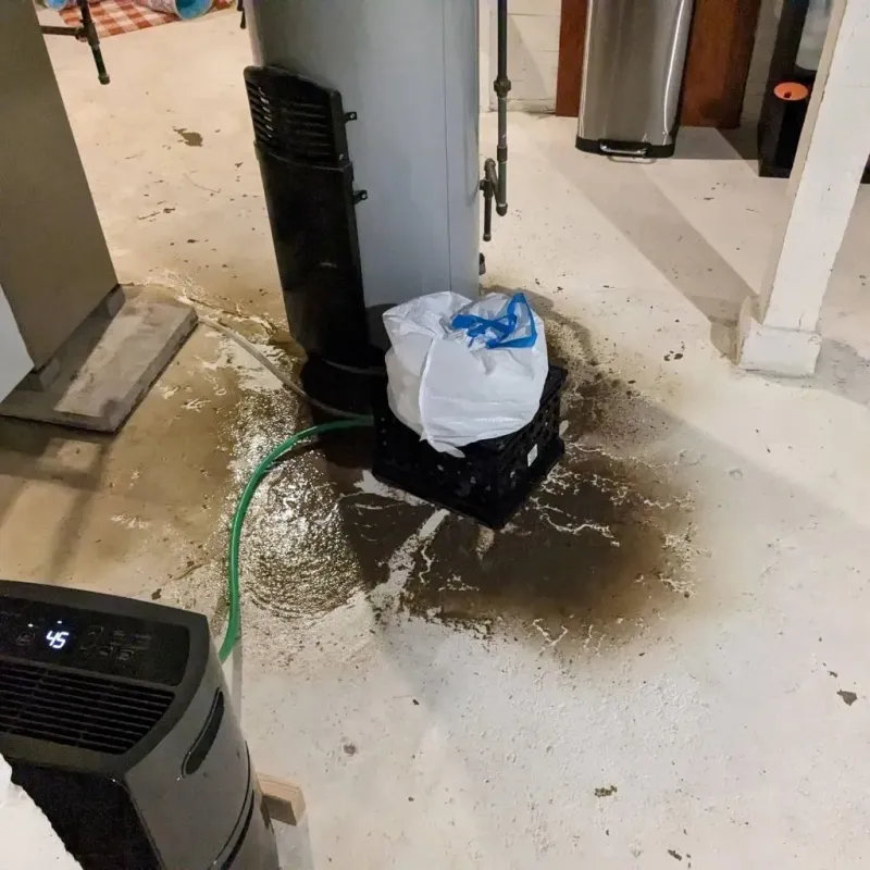 Sewage Backup Cleanup Service in Mount Hermon, VA